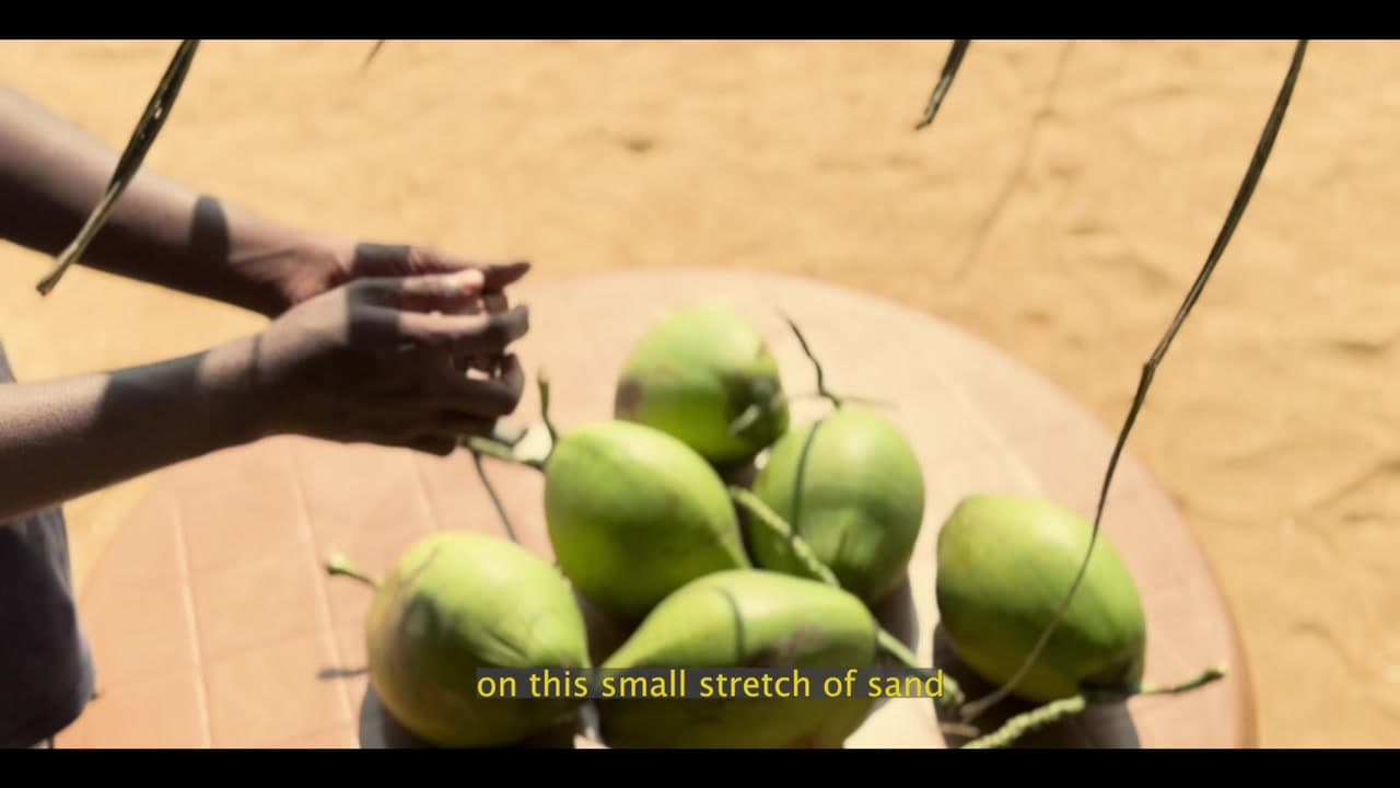 A frame from Beyond the Waves: king coconuts on a table by the sand.